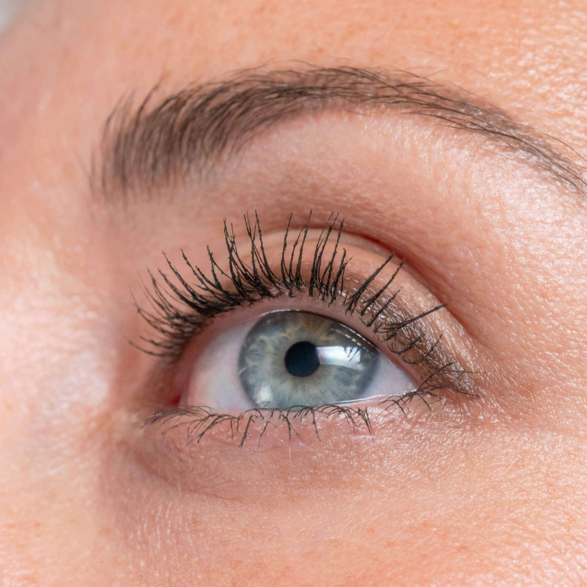 Sérum revitalisant pour les cils et sourcils